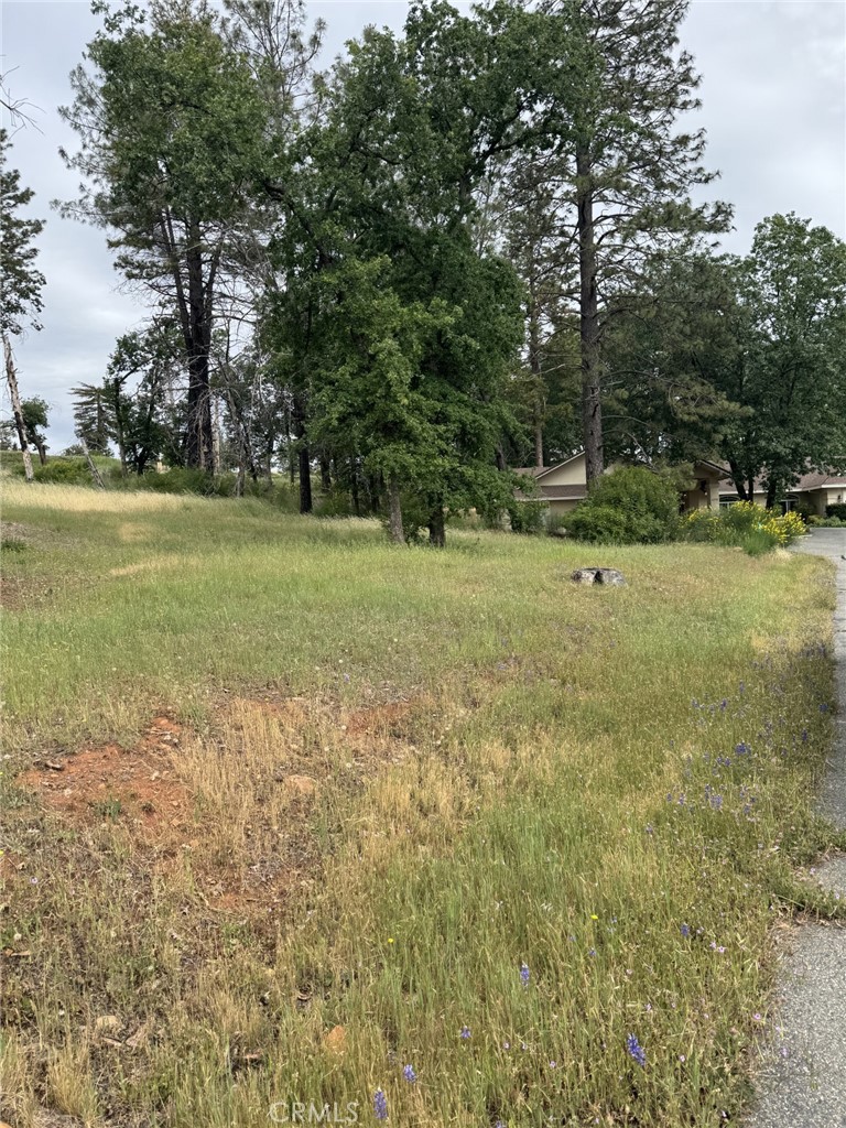 49 Carli, Paradise, CA 95969 — photo 1