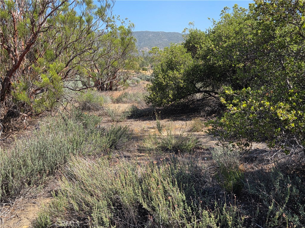 56941 Cain, Anza, CA 92539 — photo 1