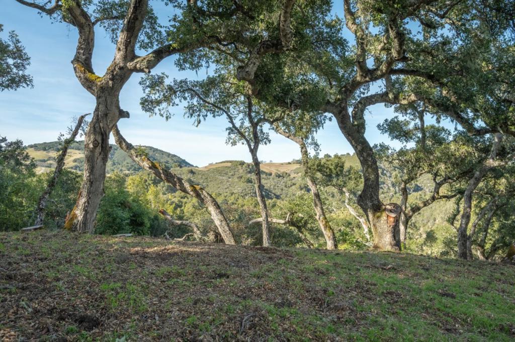 5 Vasquez (Lot 170) Trail, Carmel, CA 93923 — photo 1