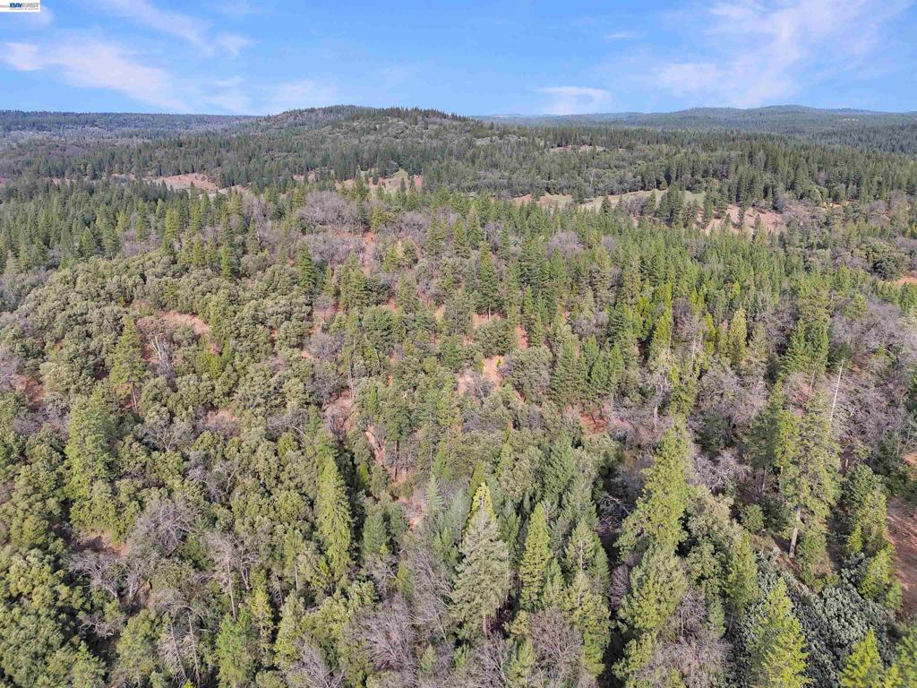 4700 Kelley Pl, Garden Valley, CA 95633 — photo 1