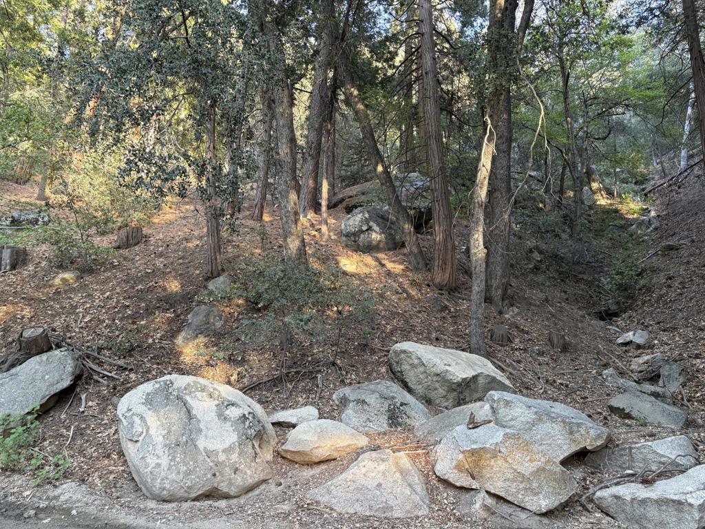 0 Tahquitz View Drive, Idyllwild, CA 92549 — photo 1