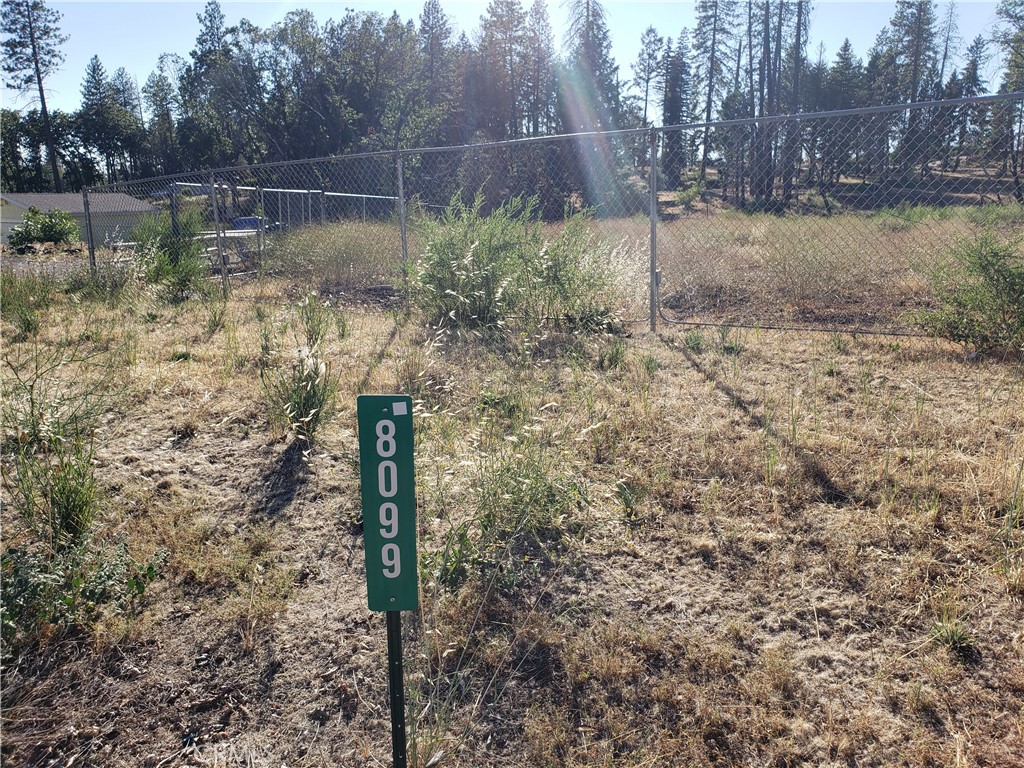 8099 Skyway, Paradise, CA 95969 — photo 1