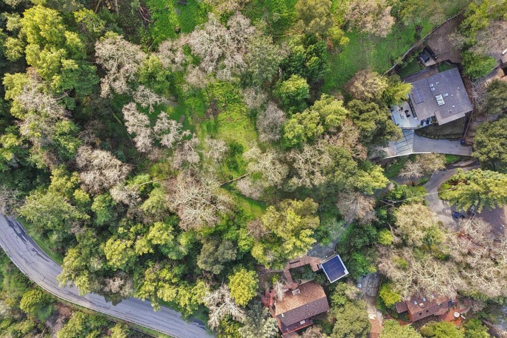 145 Foxwood Road Road, Portola Valley, CA 94028 — photo 1