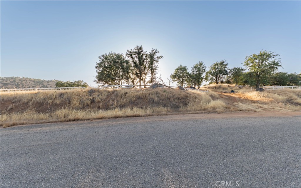 16295 Wrangler Drive