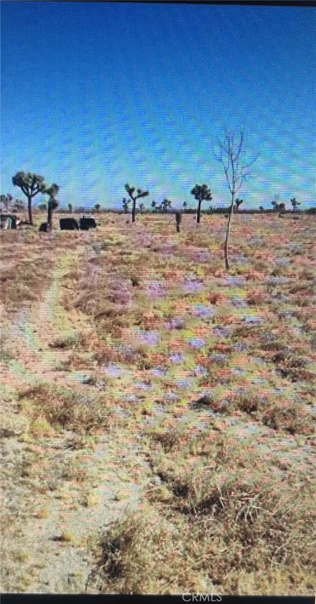 6800 South Street, Phelan, CA 92371 — photo 1
