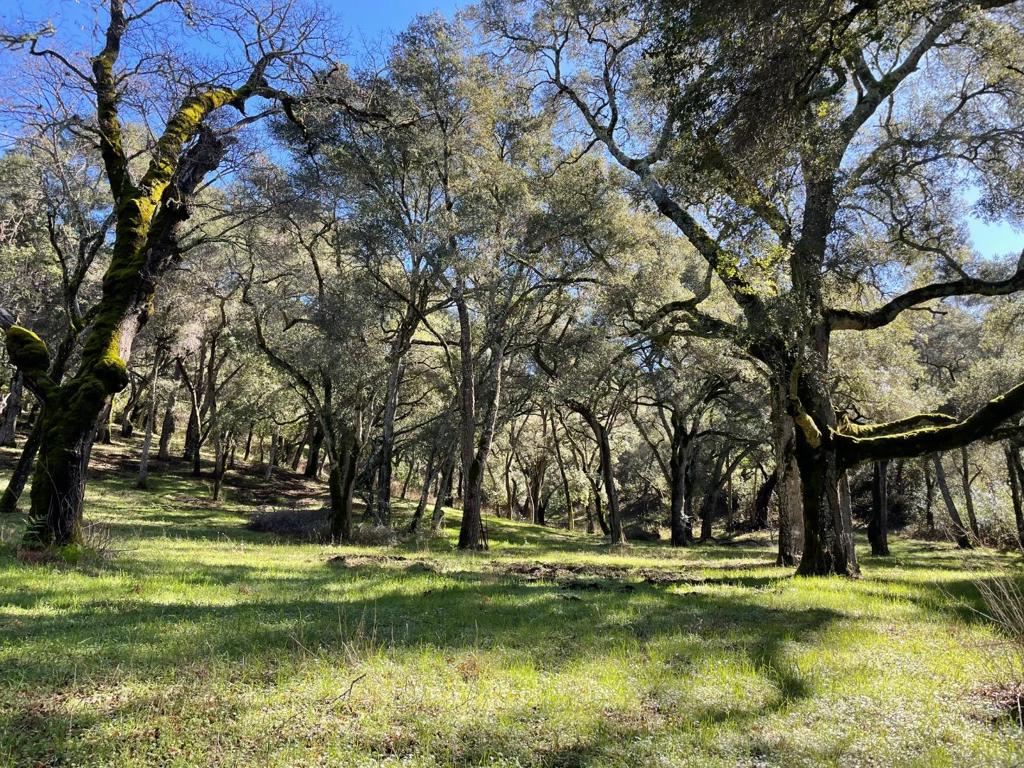 10 Garzas Trail, Carmel, CA 93923 — photo 1