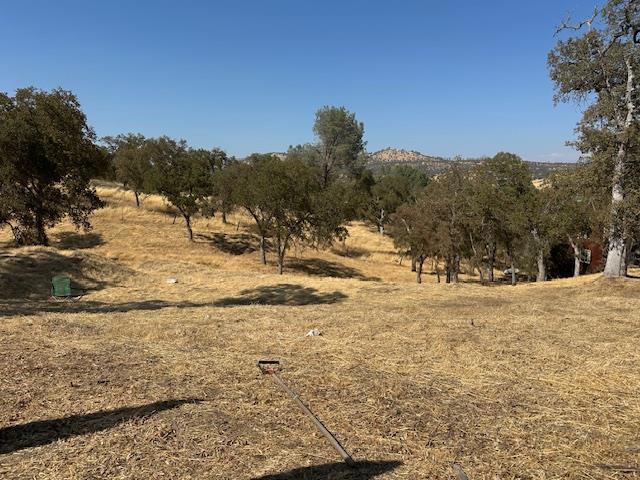 4227 Council Trail, Copperopolis, CA 95228 — photo 1