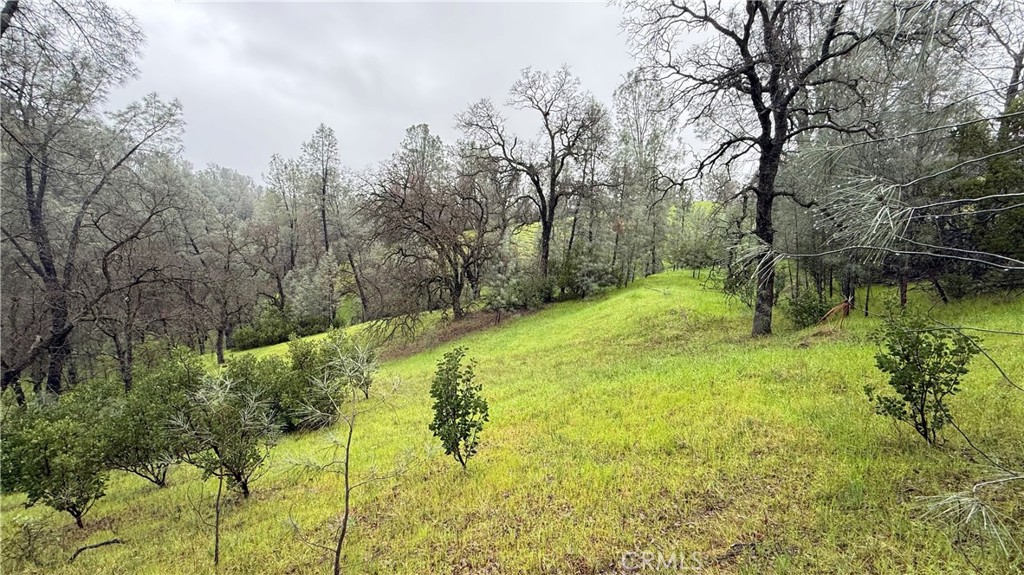 16370 Oakridge Road, Corning, CA 96021 — photo 1