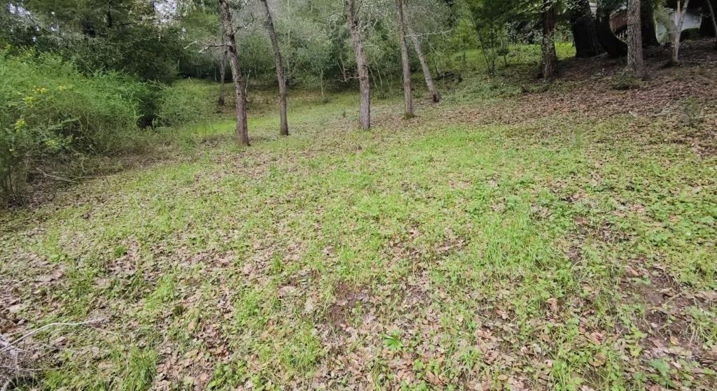 15971 Forest Hill Drive, Boulder Creek, CA 95006 — photo 1