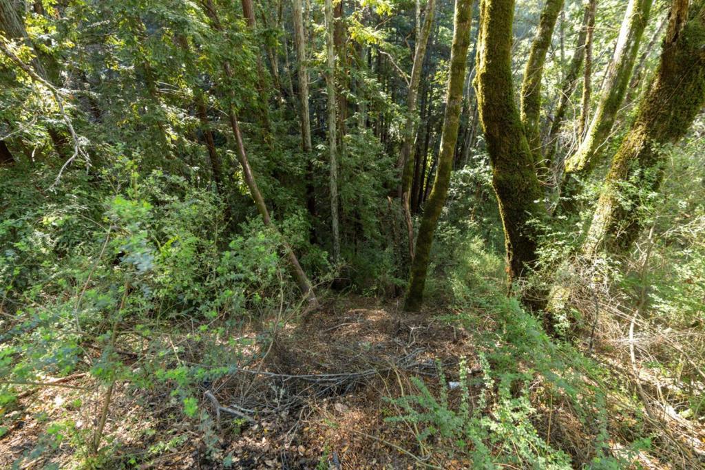 Buckeye Street, Felton, CA 95018 — photo 1