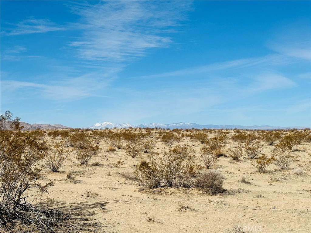 1 Charlotte Avenue, 29 Palms, CA 92277 — photo 1