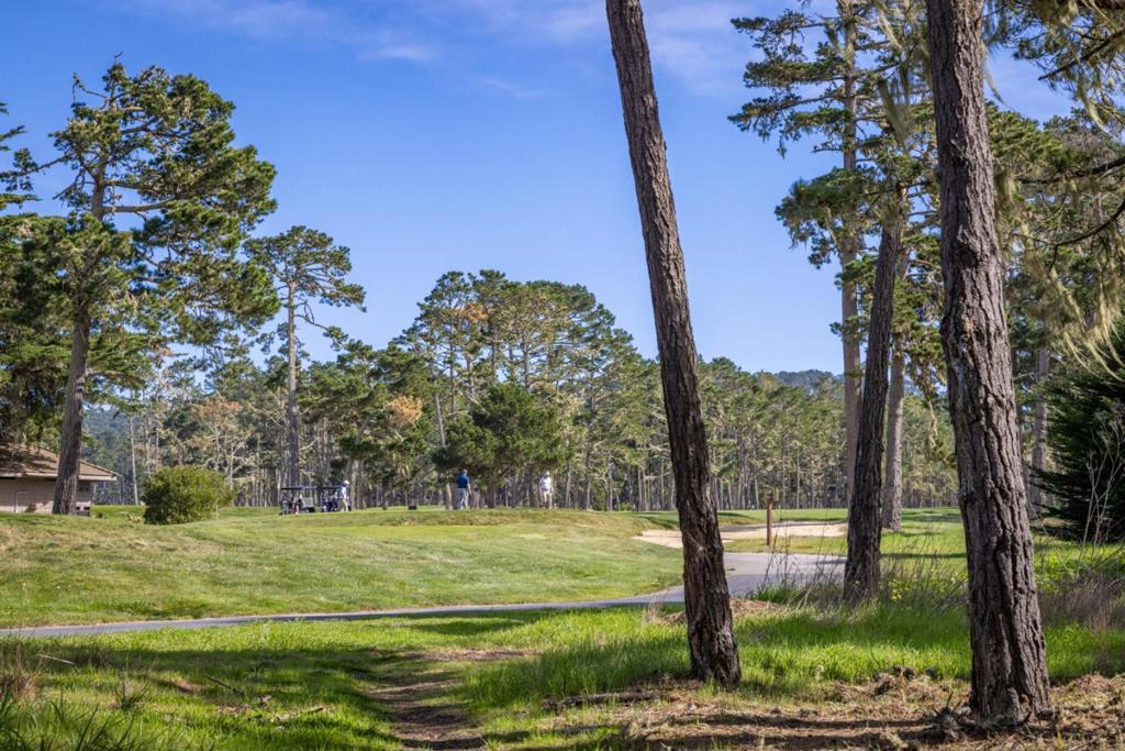 1401 Viscaino Road, Pebble Beach, CA 93953 — photo 1