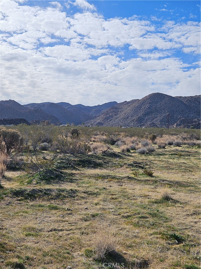 0 Cottonwood Drive, Joshua Tree, CA 92252 — photo 1