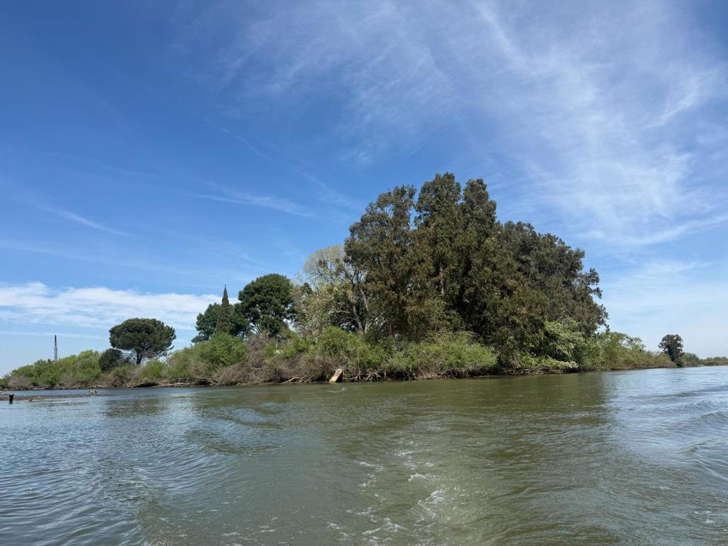 0 Halls Island, Walnut Grove, CA 95690 — photo 1
