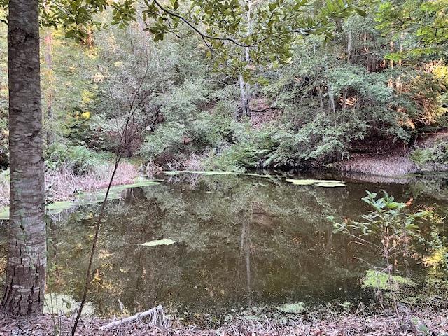 0 Love Creek