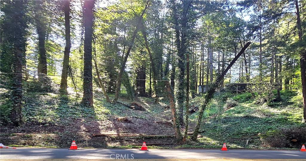 18176 HWY 116, Guerneville, CA 95446 — photo 1