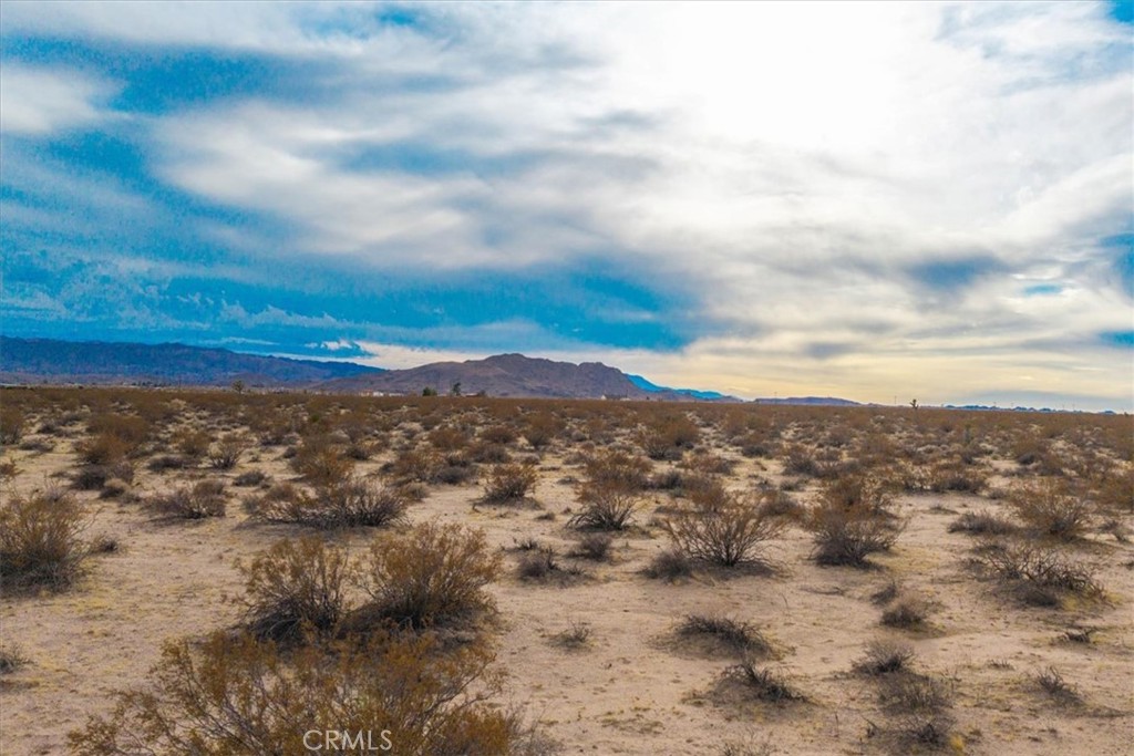 62155 Moonlight Mesa Street, Joshua Tree, CA 92252 — photo 1