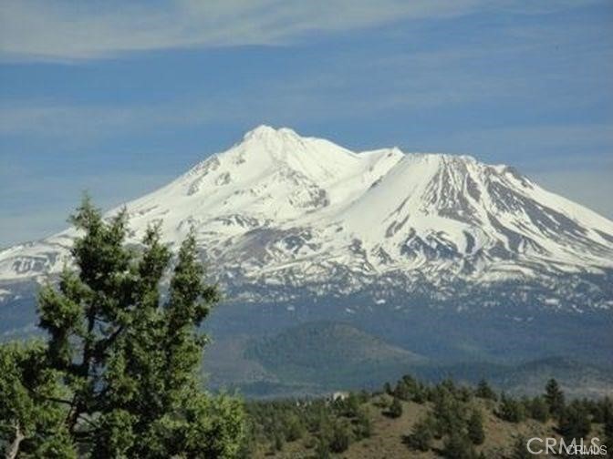 5115 Palomino Rd, Weed, CA 96094 — photo 1