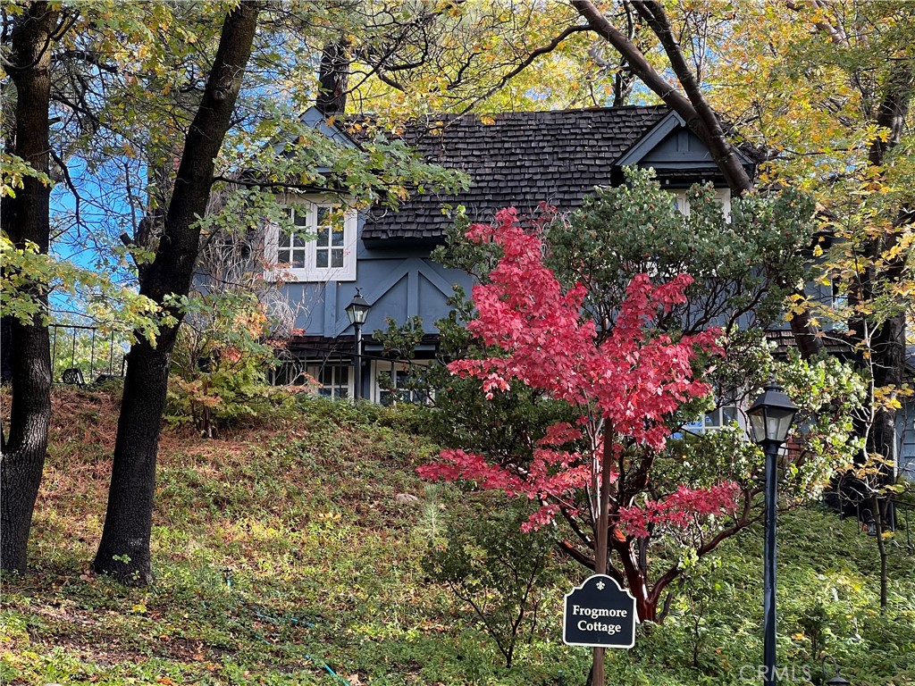 28972 North Shore Road, Lake Arrowhead, CA 92352 — photo 1