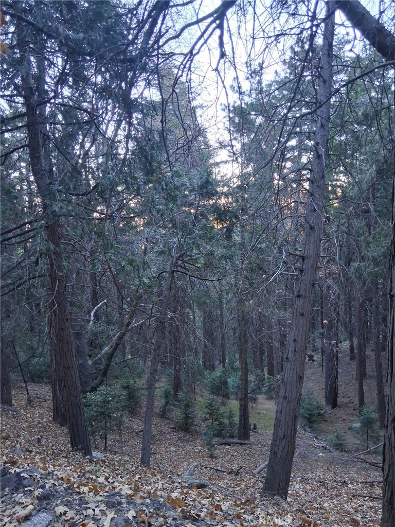 0 Reservoir, Cedarpines Park, CA 92322 — photo 1