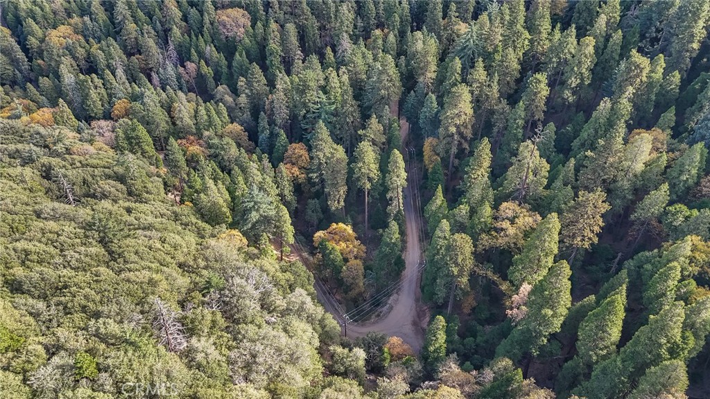 0 Deer Run Road, Cedarpines Park, CA 92322 — photo 1