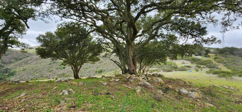 0 Salinas Road, San Juan Bautista, CA 95045 — photo 1