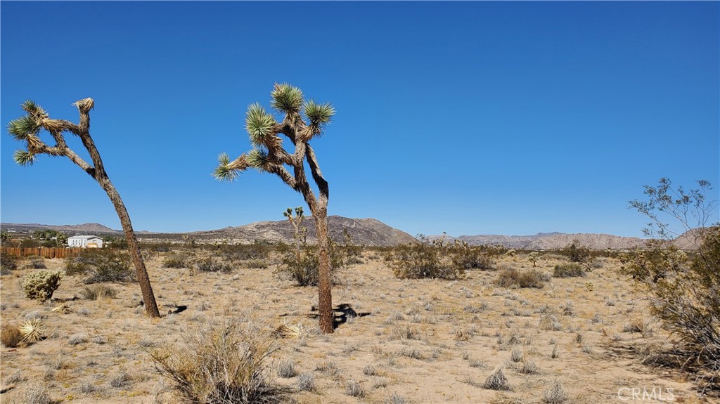 0 Landers, Landers, CA 92285 — photo 1