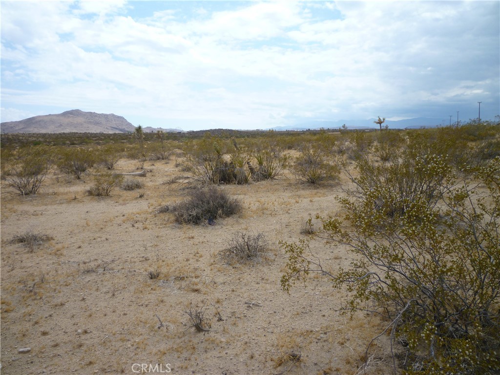 2345 Sunny Sands Drive, Joshua Tree, CA 92252 — photo 1