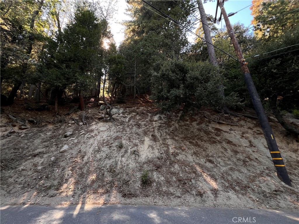 0 Lausanne, Crestline, CA 92325 — photo 1