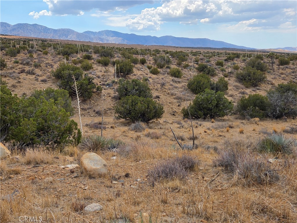 0 Vac/Vic 193rd St E Avenue, Llano, CA 93544 — photo 1
