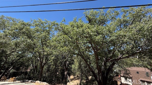 736 Dahlia Drive, Green Valley Lake, CA 92341 — photo 1