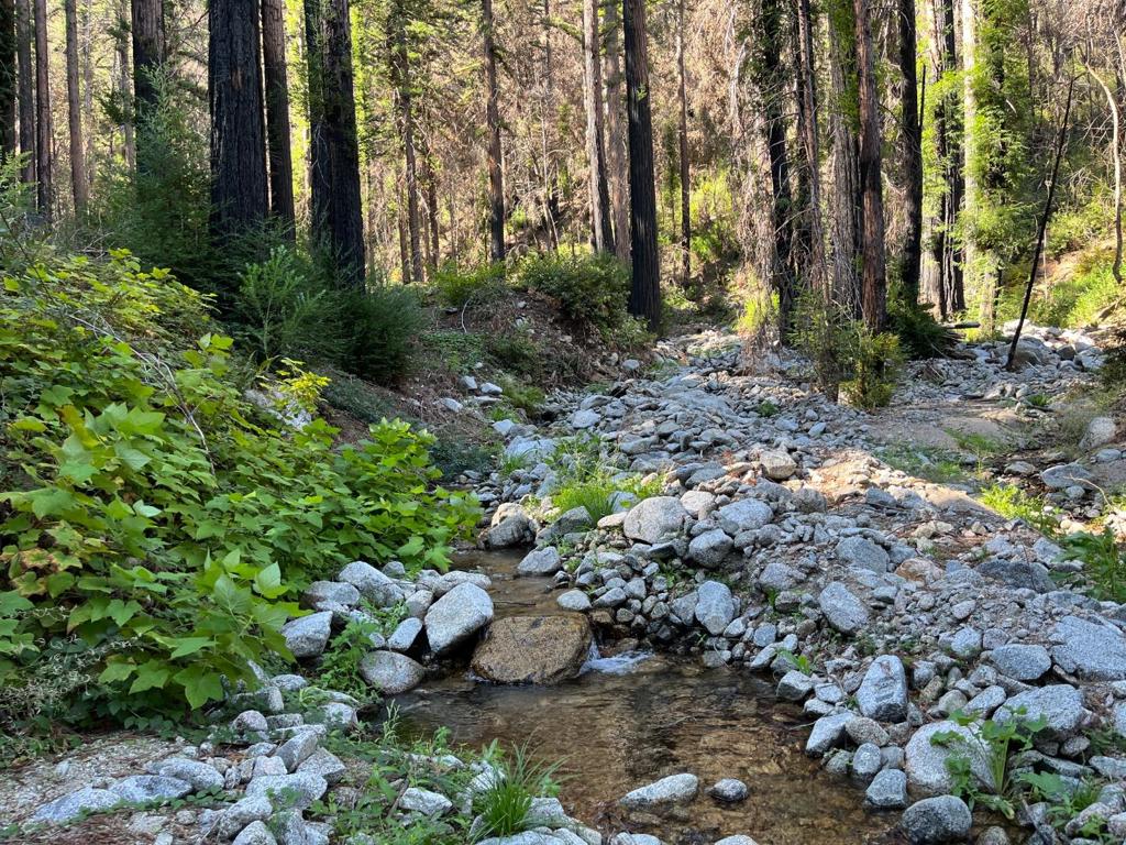 Boulder Brook Drive, Boulder Creek, CA 95006 — photo 1