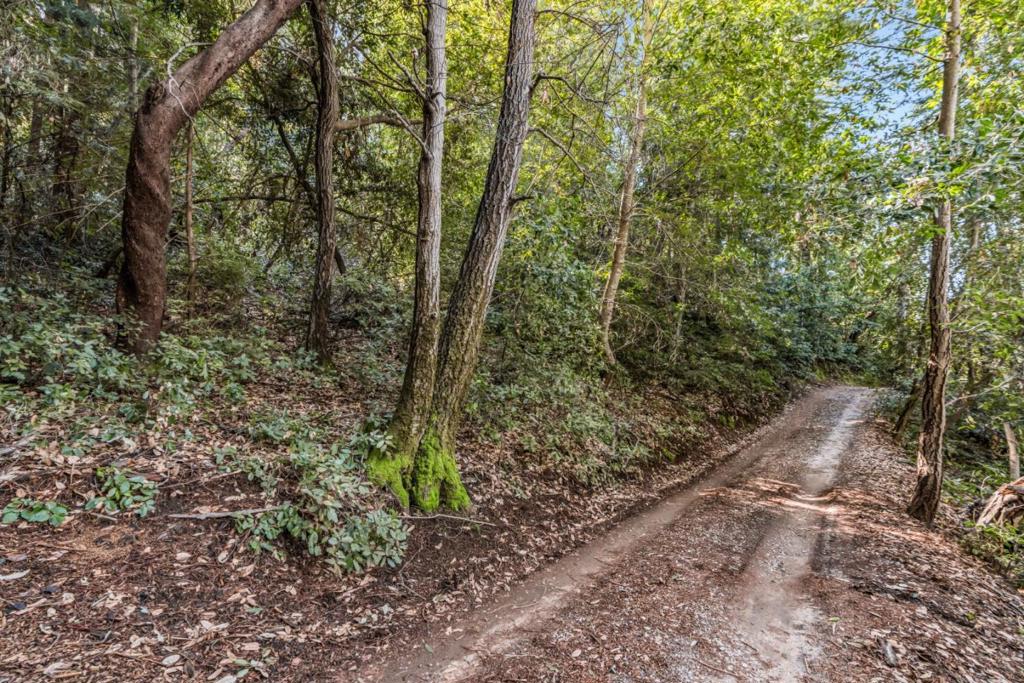 Vera Avenue, Felton, CA 95018 — photo 1