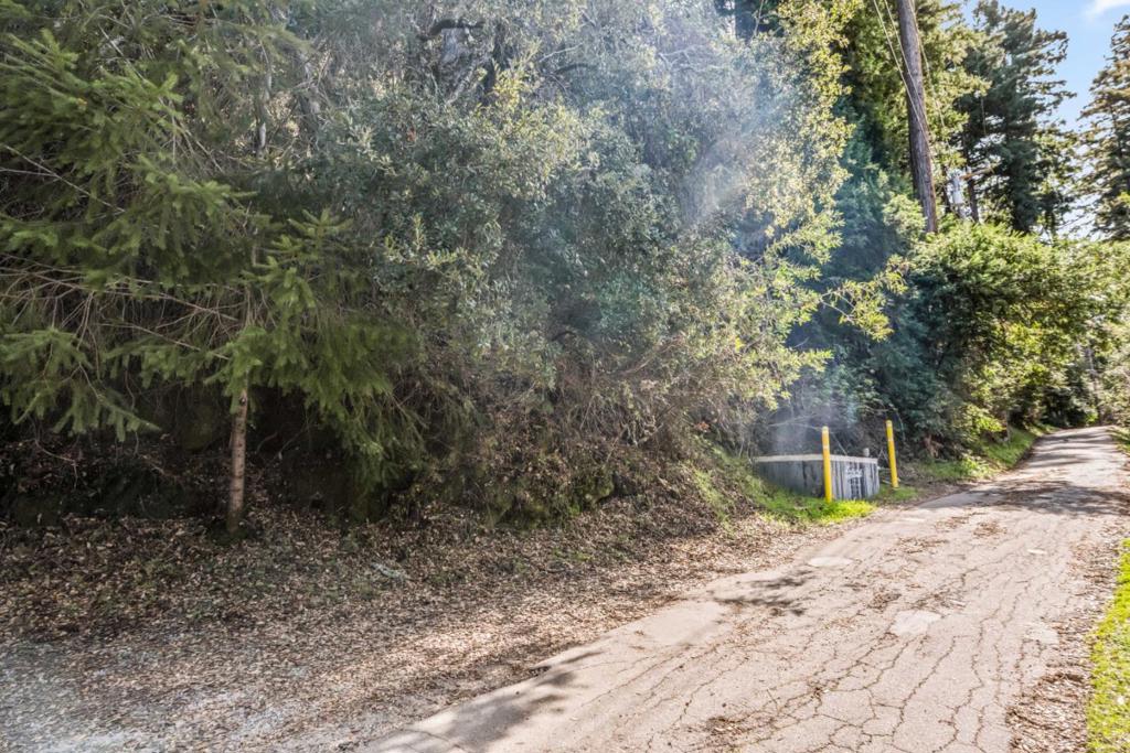 Lakeview Avenue, Felton, CA 95018 — photo 1