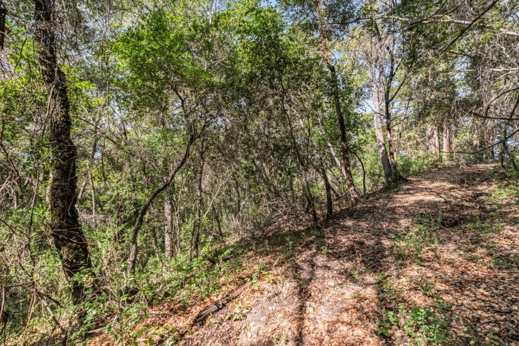 Madrone Avenue, Felton, CA 95018 — photo 1