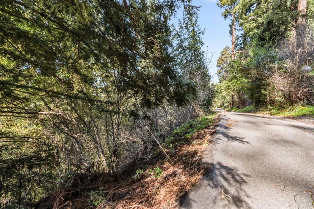 Lakeview Avenue, Felton, CA 95018 — photo 1