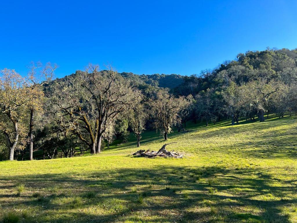 22 Arroyo Sequoia, Carmel, CA 93923 — photo 1
