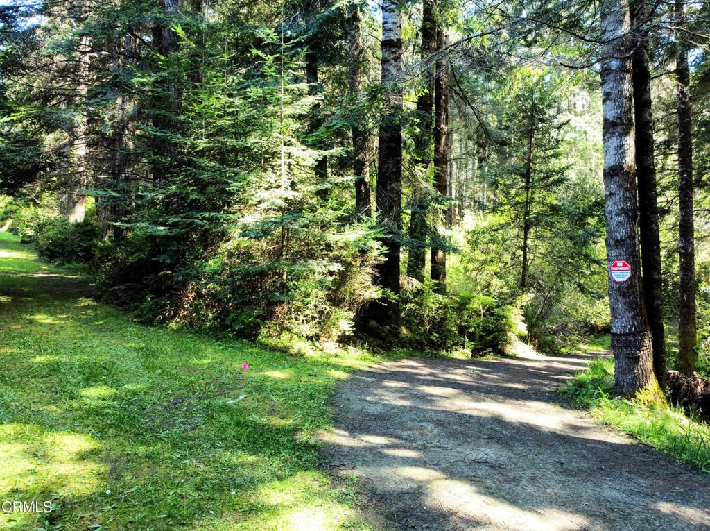 44551 Raven Lane, Mendocino, CA 95460 — photo 1