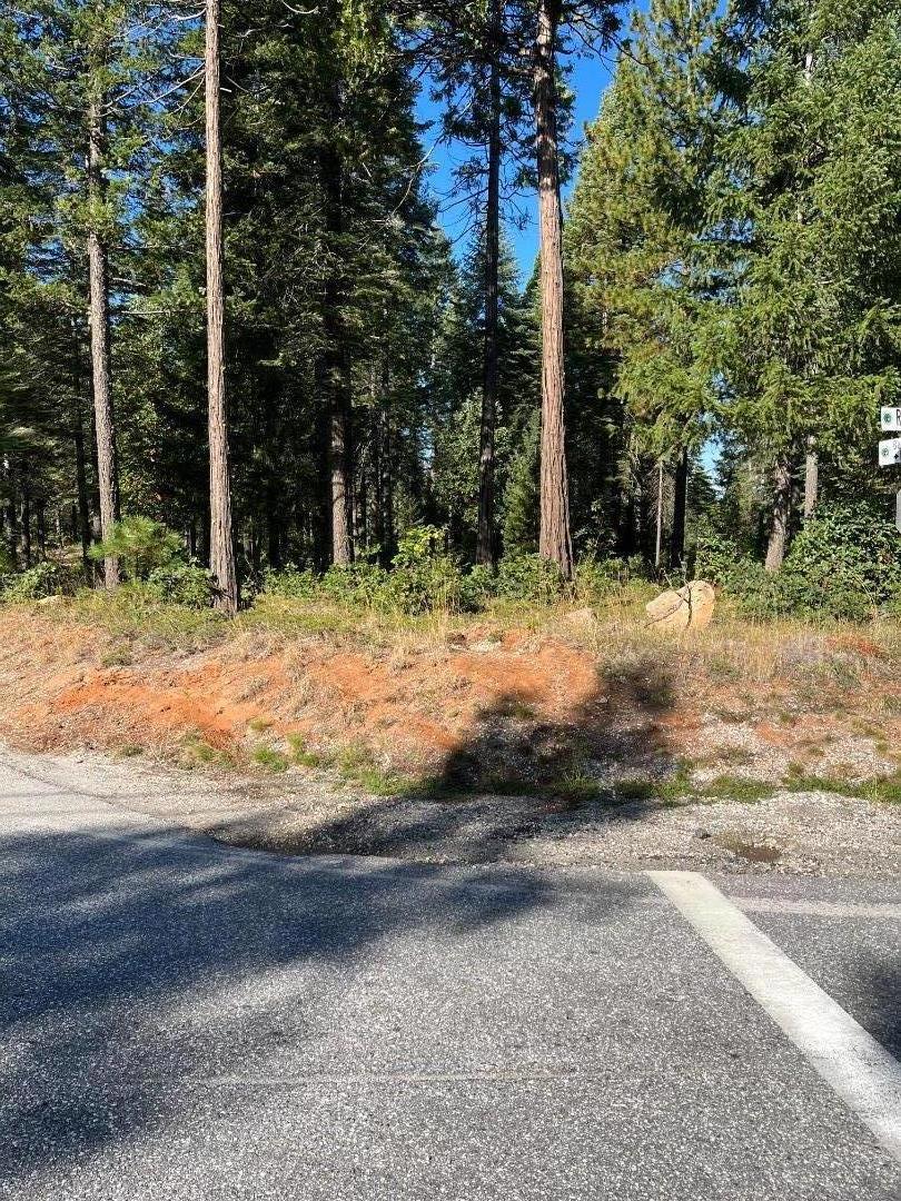 14344 Banner Quaker Hill Road, Nevada City, CA 95959 — photo 1