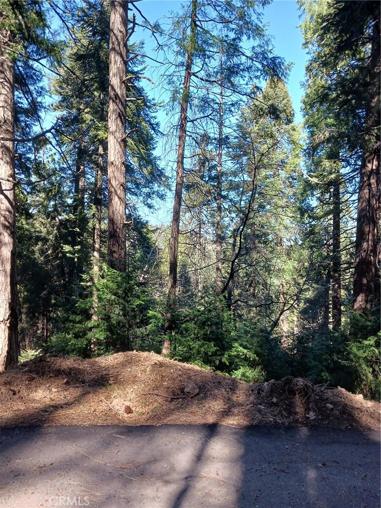 35 Spring Drive, Cedarpines Park, CA 92322 — photo 1