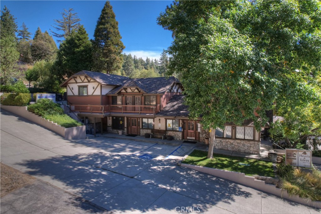 24028 Lake Drive, Crestline, CA 92325 — photo 1