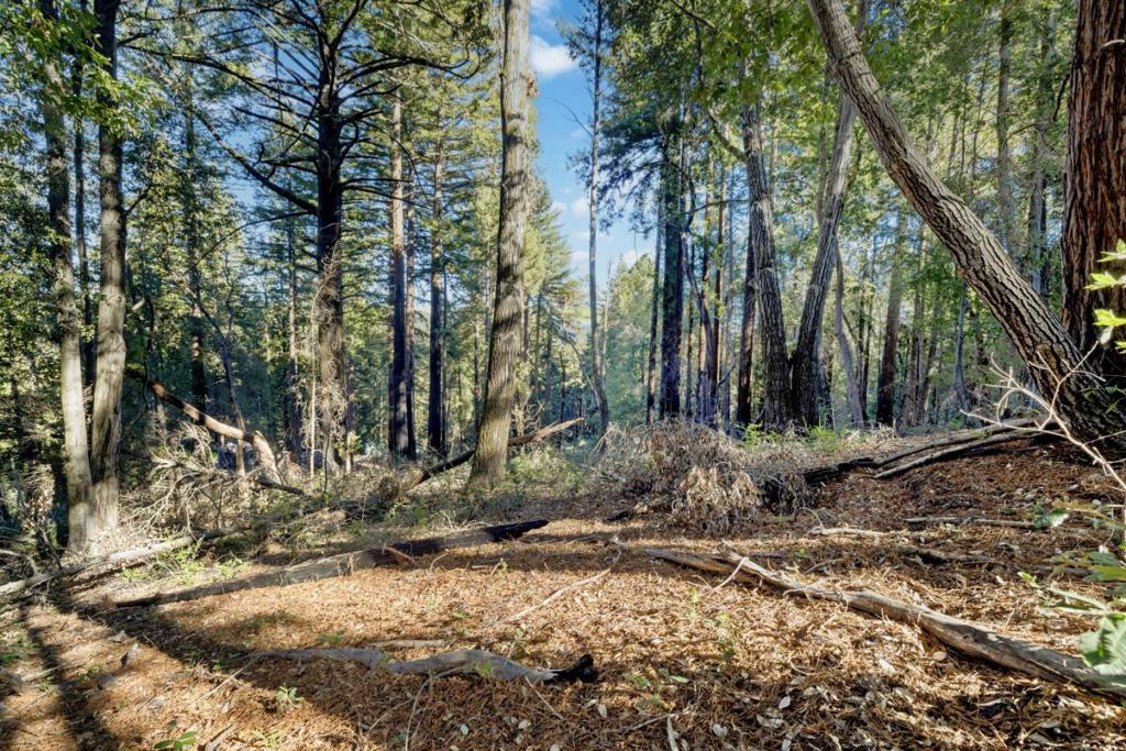 0 Western, Brookdale, CA 95007 — photo 1