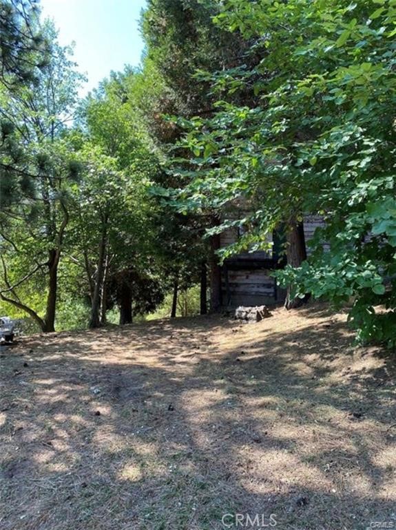 0 Pine Drive, Cedarpines Park, CA 92322 — photo 1