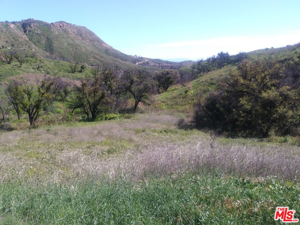 2517 Encinal Canyon Road, Malibu, CA 90265 — photo 1