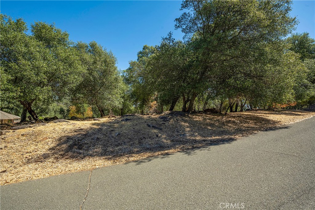 18876 Timber Point Road