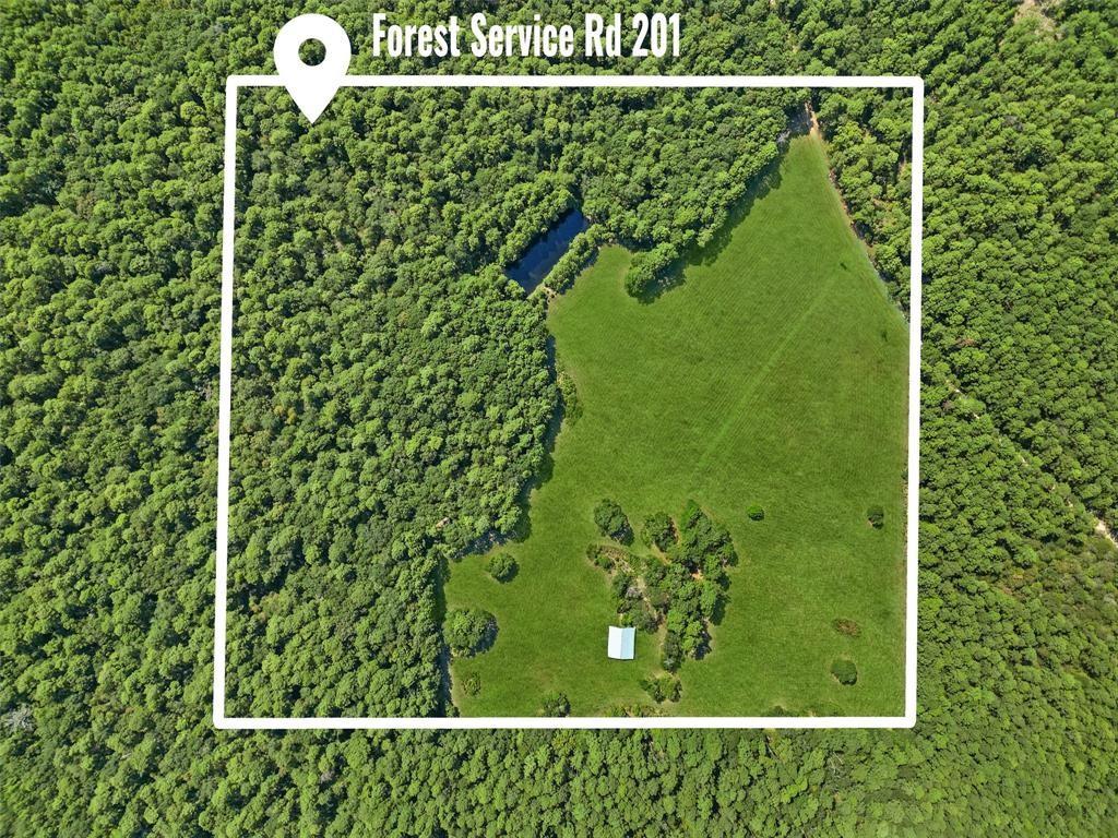 00 Forest Service Road 201 None, Coldspring, TX 77328 — photo 1
