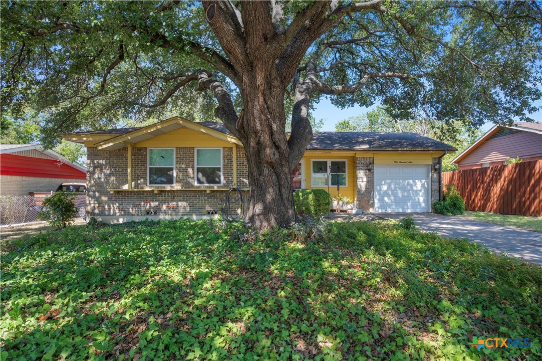 1009 Cedar Drive