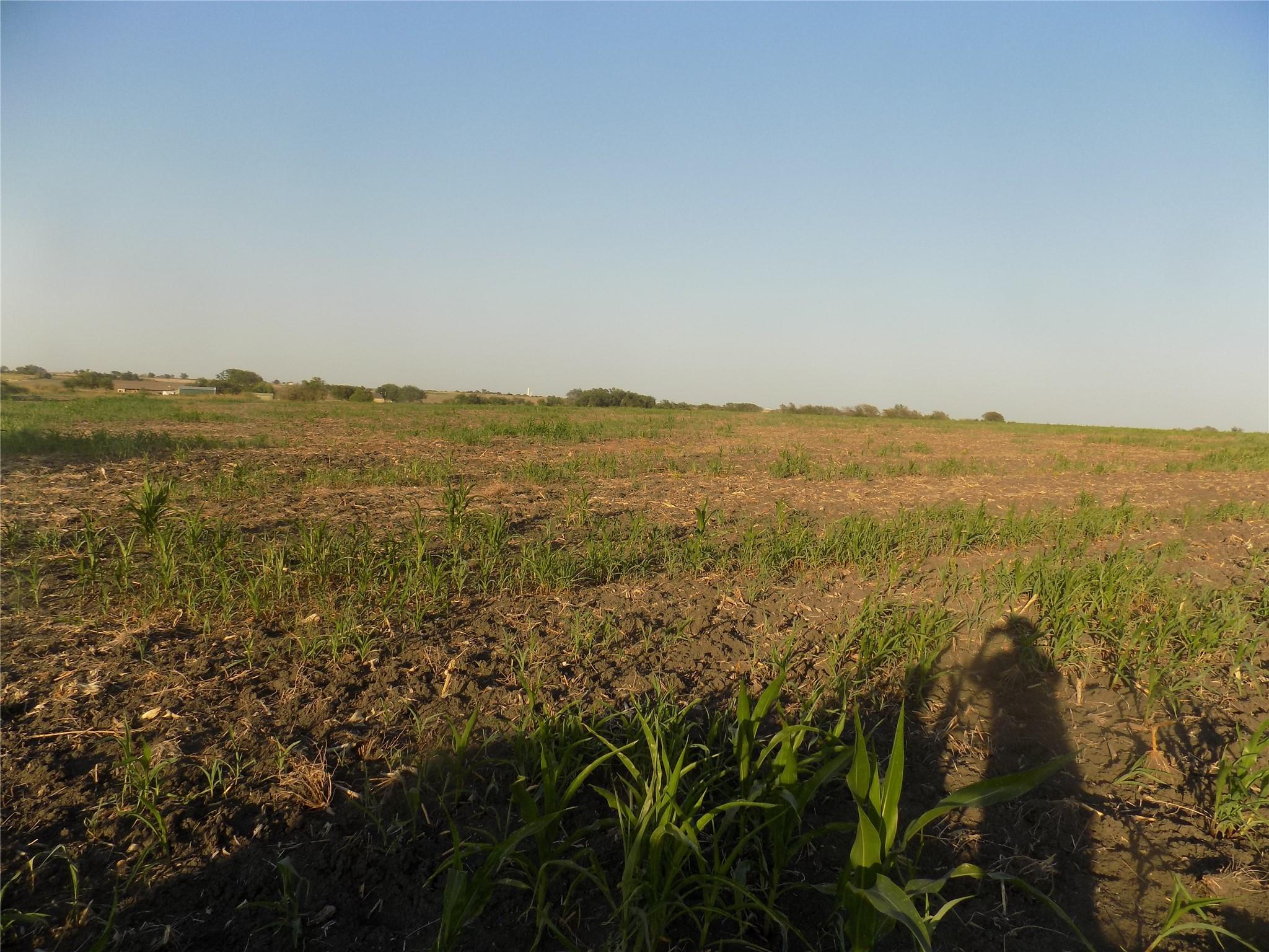 0  Krause Rd, Holland, TX 76534 — photo 1