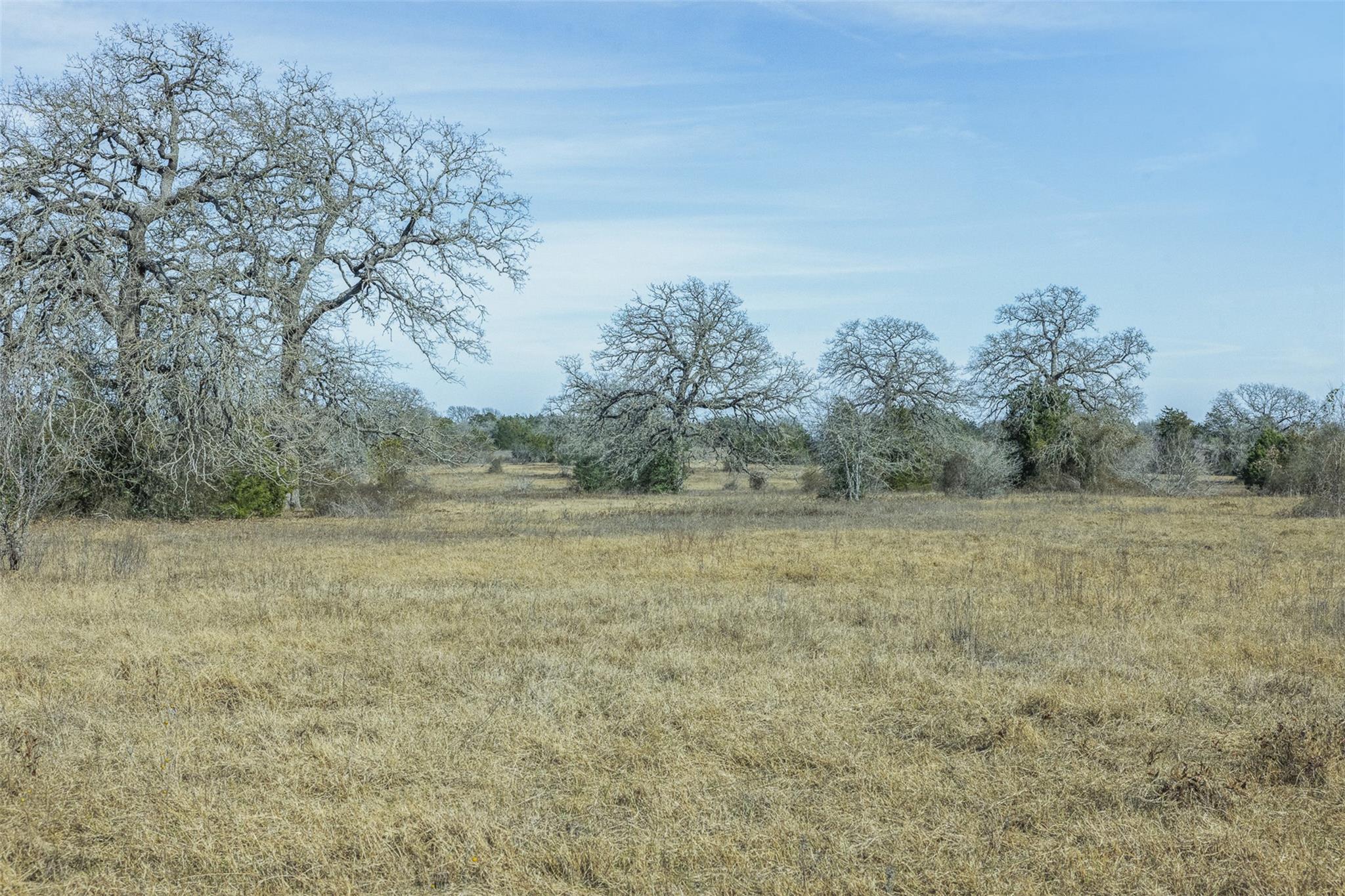 TBD CR 200 None, Giddings, TX 78942 — photo 1