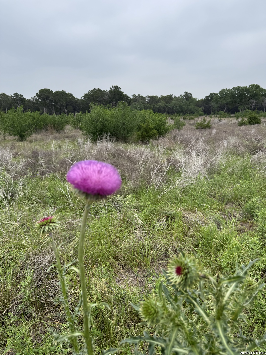 LOT 52 CLEARWATER CANYON RD, Bandera, TX 78003 — photo 1